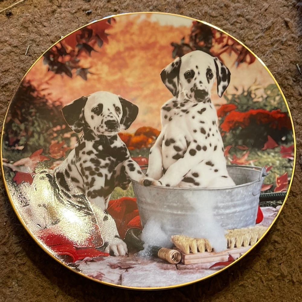 Wall plate